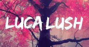 7.jpg : 클죽이입니다. 한주 마무리 잘하세요 ~ 3LAU Ft. Bright Lights - How You Love Me (James Carter Remix)+13