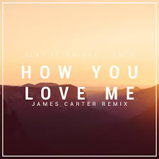 1.jpg : 클죽이입니다. 한주 마무리 잘하세요 ~ 3LAU Ft. Bright Lights - How You Love Me (James Carter Remix)+13