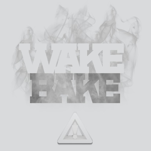 flosstradamus-wake[1].jpg