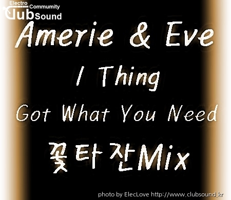 Amerie & Eve - 1 Thing Got What You Need (꽃타잔 Mix).jpg