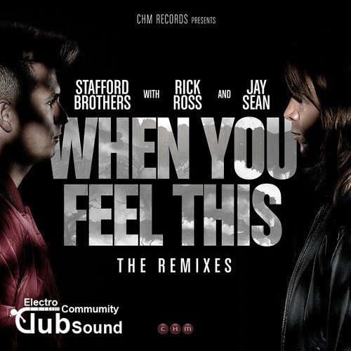 Stafford Brothers feat. Rick Ross & Jay Sean - When You Feel This (J-Trick Remix).jpg