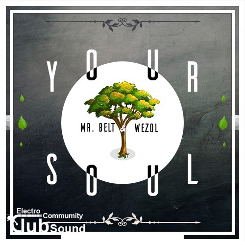 Mr. Belt & Wezol - Your Soul (Original Mix).jpg