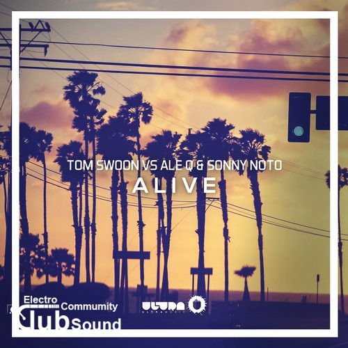 Tom Swoon vs. Ale Q & Sonny Noto - Alive (Original Mix).jpg