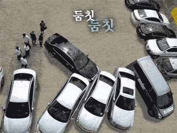 둠칫둠칫 자동차.gif