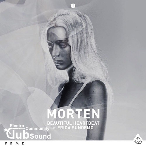 MORTEN feat. Frida Sundemo - Beautiful Heartbeat (Avicii Remix).jpg