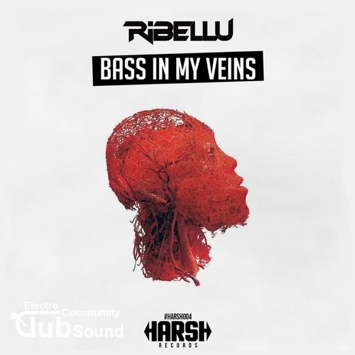 Ribellu - Bass In My Veins (Original Mix).jpg
