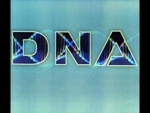 0.jpg : ★많이 들어본 싸트 DNA - No Limit 외 5곡★