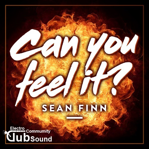 Sean Finn - Can You Feel It (Original Mix).jpg