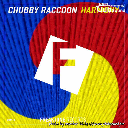 Chubby Raccoon - Harmony.jpg