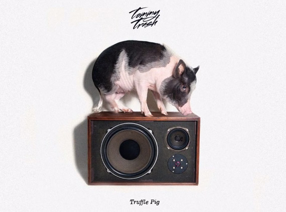 Tommy-Trash-Truffle-Pig-Teaser.jpg : Tommy Trash - Truffle Pig (Original Mix)