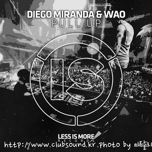 Diego Miranda & WAO - Pull Up (Original Mix).jpg