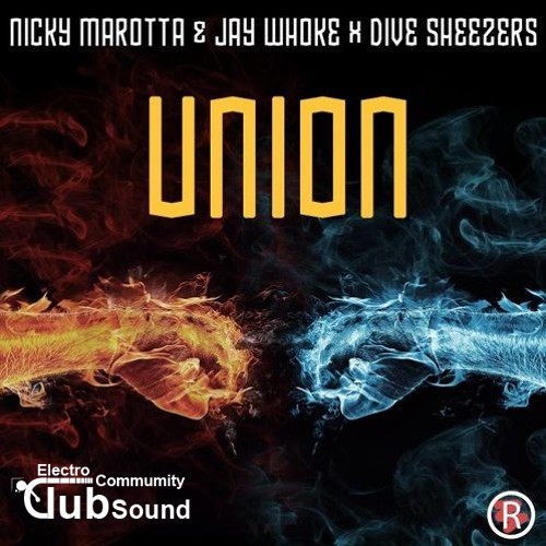 Nicky Marotta & Jay Whoke X Dive Sheezers - Union (Extended Mix).jpg : 꽃타잔의 S급 신곡 5곡 공유) Chris Sanchez - Next Level (Original Mix) + 4