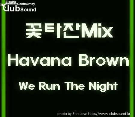 꽃타잔Mix Havana Brown - We Run The Night.jpg