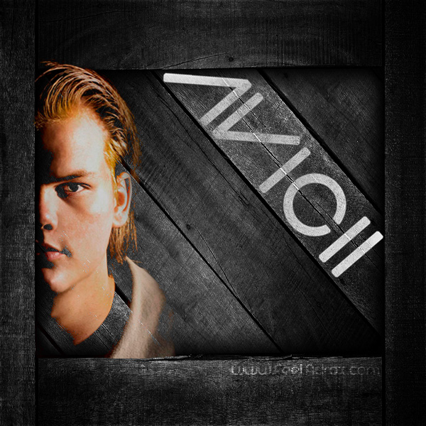 avicii.jpg : Progressive House Mixset ㅋ_ㅋ