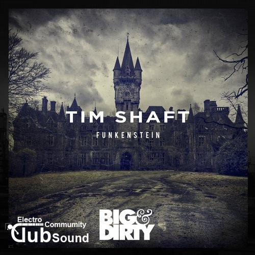 Tim Shaft - Funkenstein (Original Mix).jpg