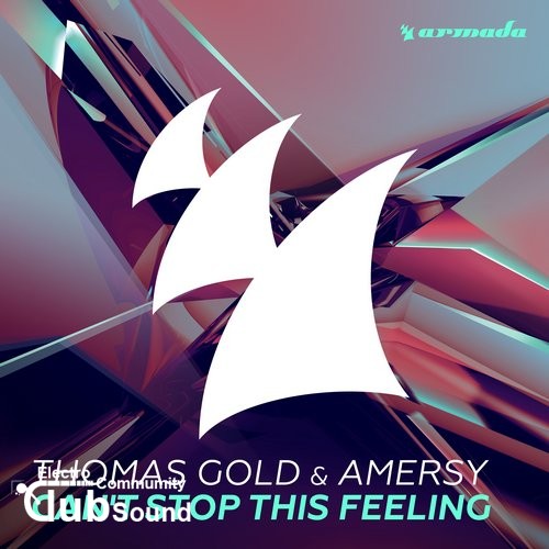 Thomas Gold & Amersy - Cant Stop This Feeling (Extended Mix).jpg