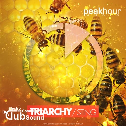 Triarchy - Sting (Original Mix).jpg