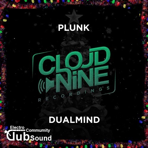 plunk.jpg