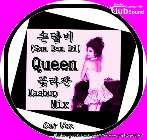 손담비(Son Dam Bi) - Queen (꽃타잔 Mashup Mix) Cut Ver..jpg