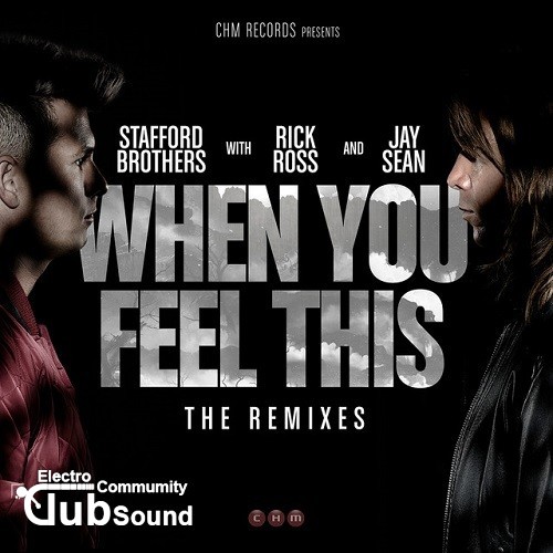 Stafford Brothers feat. Rick Ross & Jay Sean - When You Feel This (Montano. Pizzitola vs. Godlov Remix).jpg
