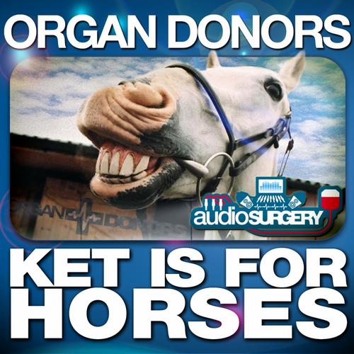 Ket Is For Horses.jpg