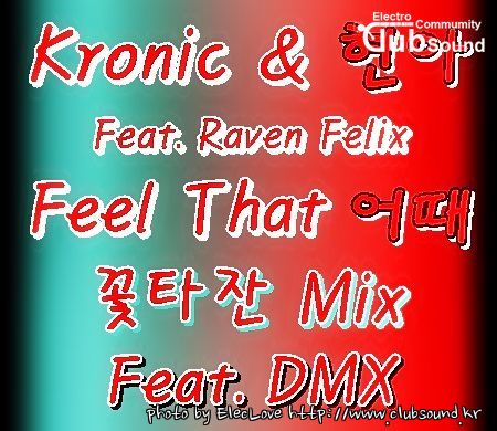 Kronic & 현아 Feat. Raven Felix - Feel That 어때 (꽃타잔 Mix Feat. DMX).jpg