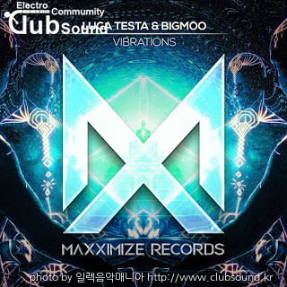 Luca Testa & Bigmoo - Vibrations (Extended Mix) [Maxximize Records].jpg