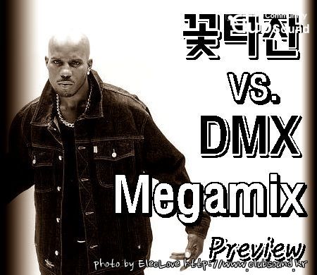 꽃타잔 VS. DMX Megamix (Preview).jpg