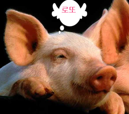 1.jpg : ★고음질음원320kbps★ ＼(^o^)/  01. Corina Feat.Dony - Latino Caff mp3~♬ 02. Bette Davis Eyes (Belmond & Parker Remix) mp3~♬