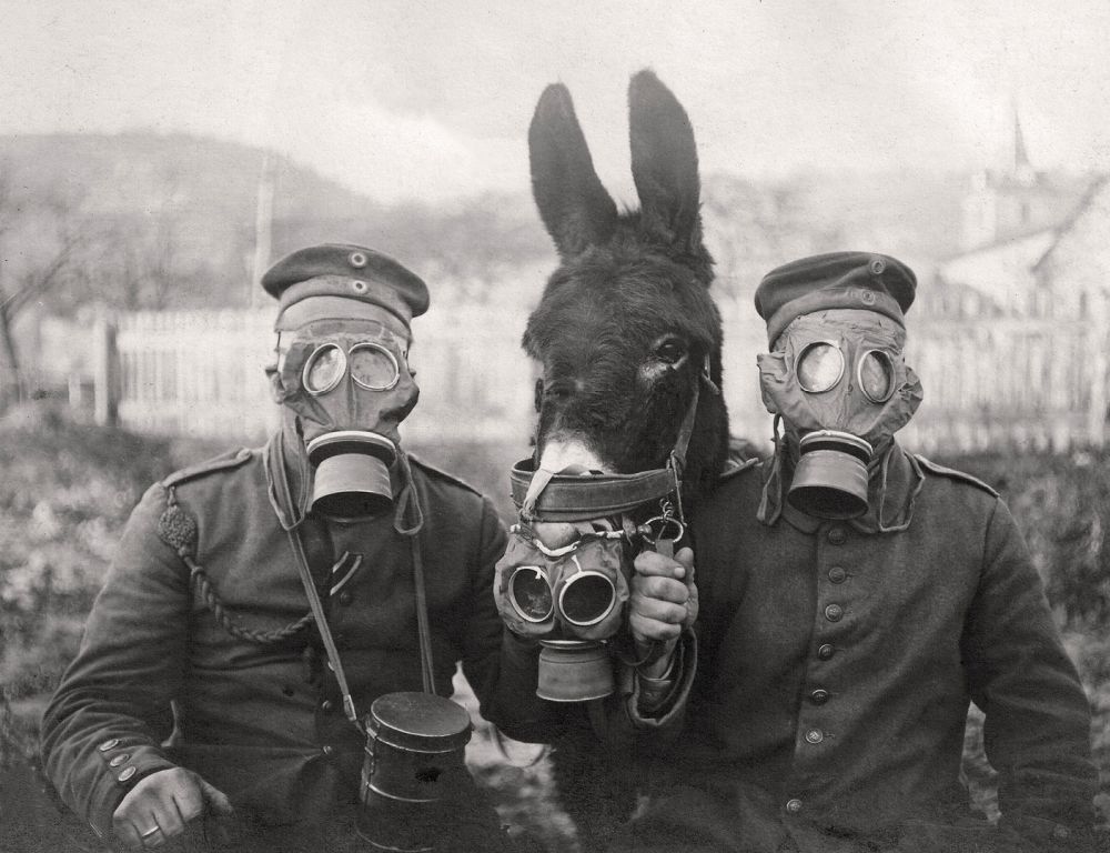 배경1.jpg : RadioActive - Marauder 외 2곡 제 자작곡입니다 ^^ 무료로 배포하니 들어봐주시고 부족한점말씀해주세요
