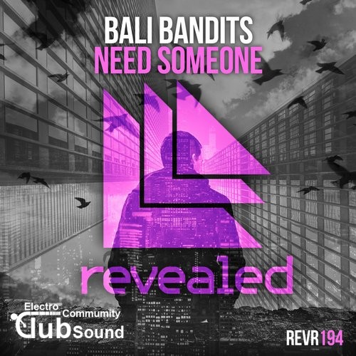 Bali Bandits - Need Someone (Original Mix).jpg