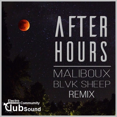 Troyboi feat. Diplo & Nina Sky - Afterhours (Maliboux & Blvk Sheep Remix).jpg