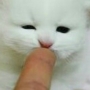 나야거니