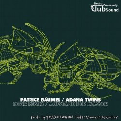 Patrice Baumel - Roar (Adana Twins Remix)