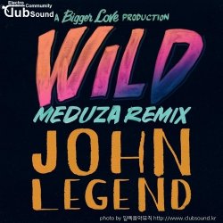 (+9곡)  John Legend - Wild (Meduza Extended Remix)