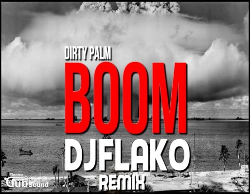 국내EDM프로듀서 DJ FLAKO의 새로운 리믹스 공개! 