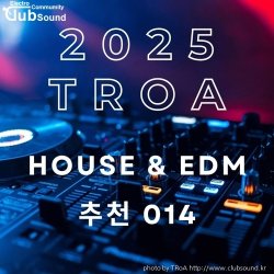 (추천곡)TECH HOUSE & EDM 추천곡 014