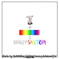 Preesync - Donkey Spectrum