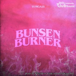 Temgazi - Bunsen Burner (Original Mix)