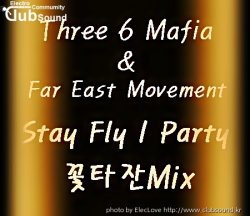 Three 6 Mafia & Far East Movement - Stay Fly I Party (꽃타잔Mix)