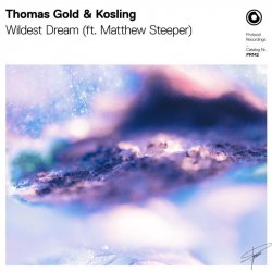 3/15 Upload --> Thomas Gold & Kosling feat. Matthew Steeper - Wildest Dream (Extended Mix)
