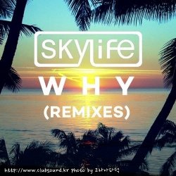 Skylife Feat. Summer Rayne - Why (Disco Fries Remix)