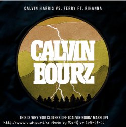 Calvin Harris vs. Ferry ft. Rihanna - This is why you clothes off (Calvin Bourz Mash Up)