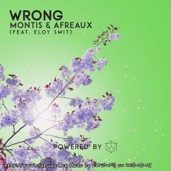 Montis & Afreaux Feat. Eloy Smit - Wrong (Original Mix)