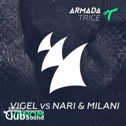 Vigel vs. Nari & Milani - Venom (Original Mix)