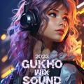 GUKHO MIX SOUND NOV Club-2 img--.jpg