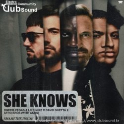 (+27)Dimitri Vegas & Like Mike x David Guetta x Afro Bros with Akon - She Knows (Extended Mix)