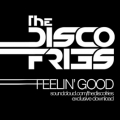 Disco-Fries---Feelin'-Good-[FREE-DOWNLOAD].png