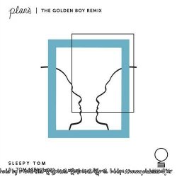 Sleepy Tom & Tom Aspaul - Plans (The Golden Boy Remix)