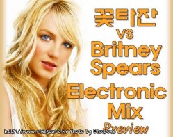 꽃타잔 VS Britney Spears Electronic Mix Preview Ver.